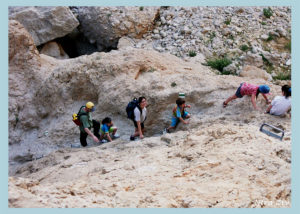 בריכת צפירה