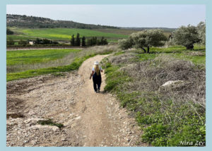 דרך ללכת בה